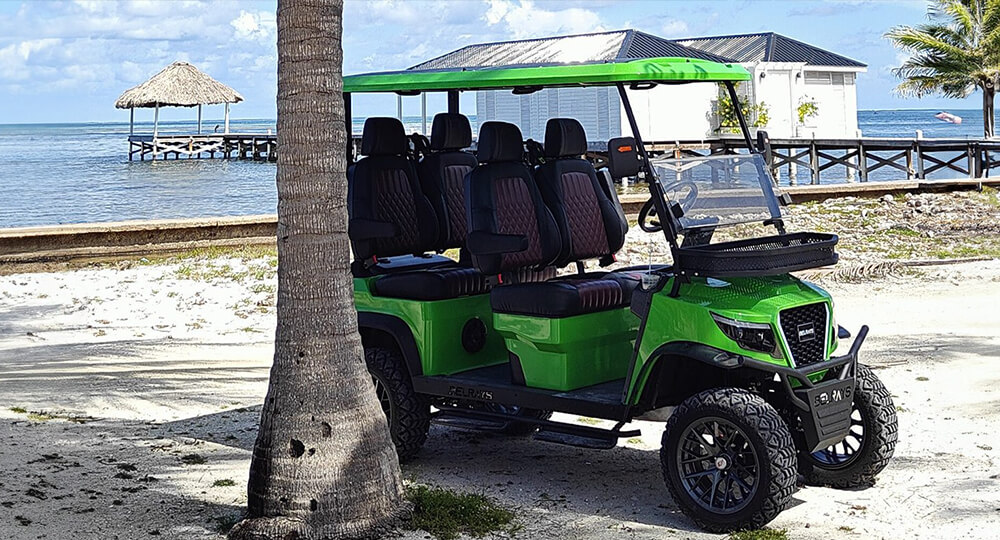 4 Seater Solar Electric Golf Cart