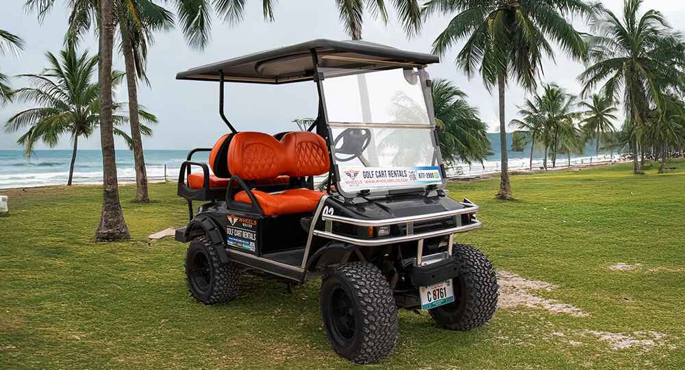 4 Seater Gas Golf Cart