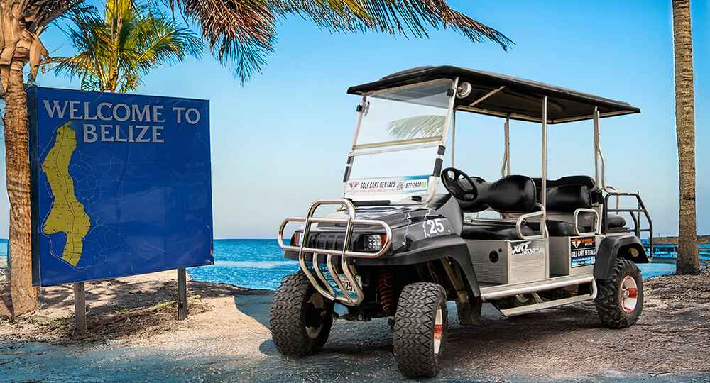6 Seater Gas Golf Cart