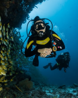 Barrier Reef Snorkeling