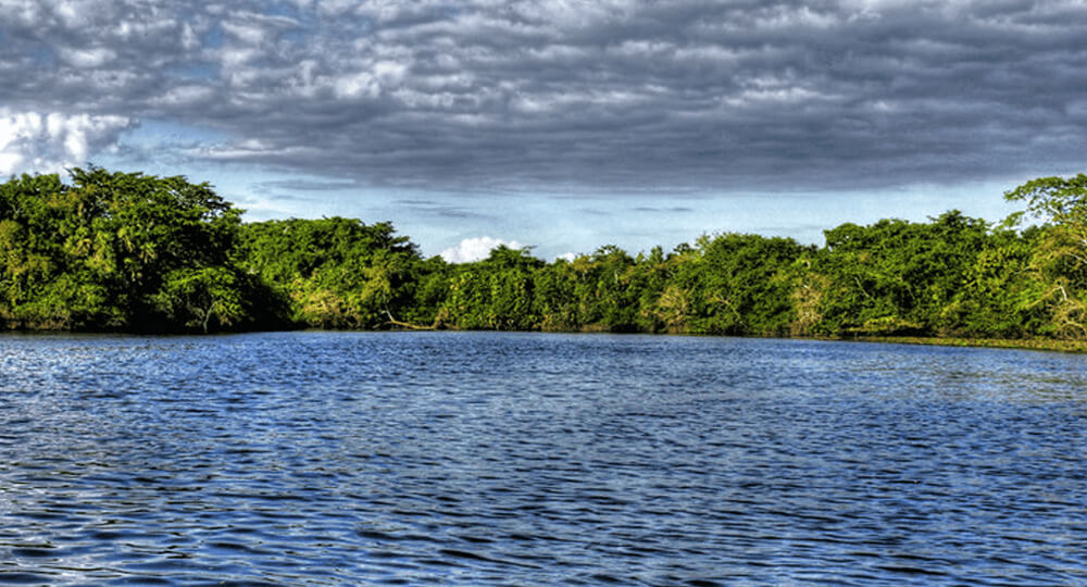 Lagoon Views
